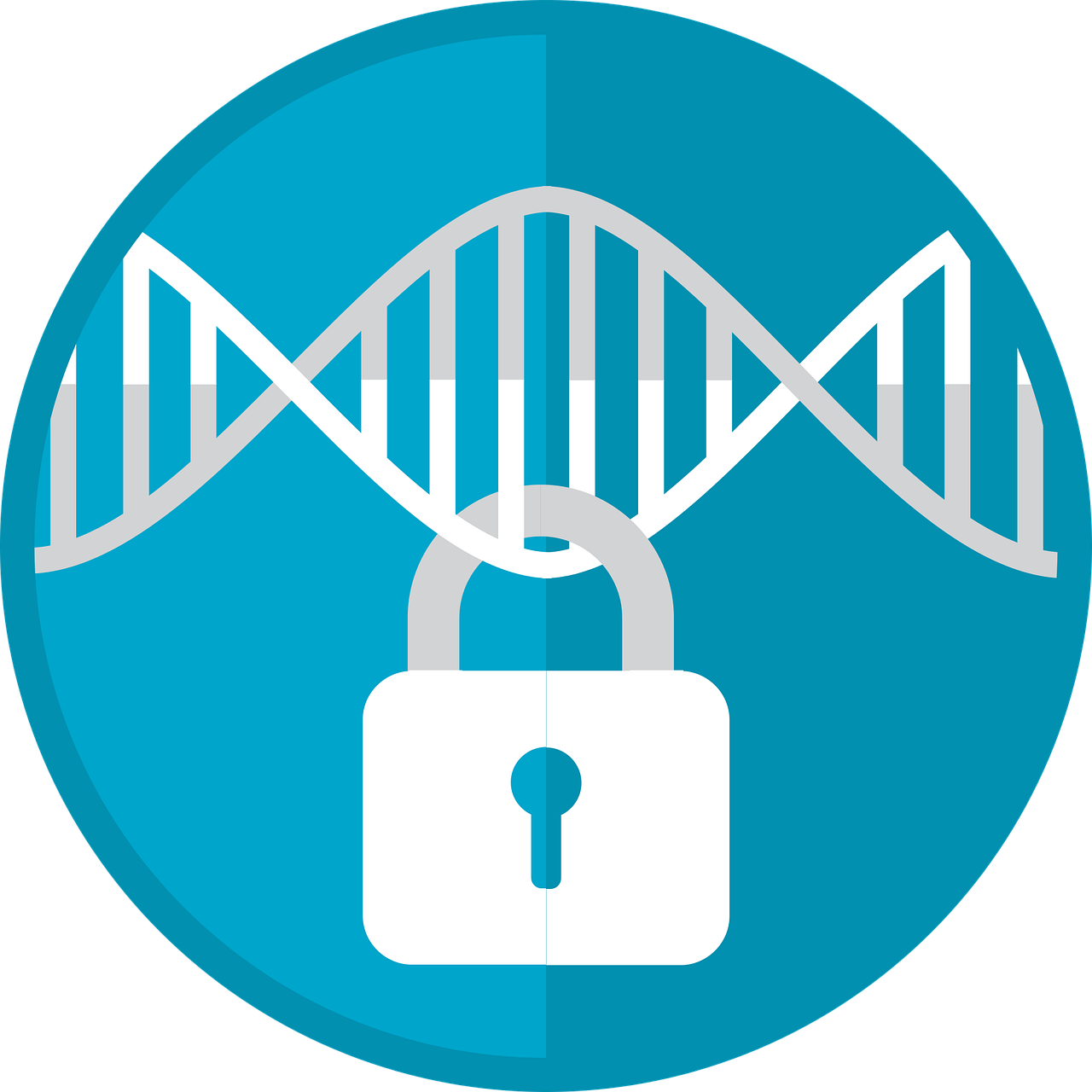 genomic privacy, genomic security, genome privacy-3302478.jpg